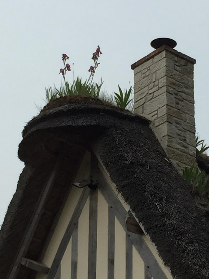 Holiday Home Le Clos Du Phare Saint-Samson-de-la-Roque 외부 사진